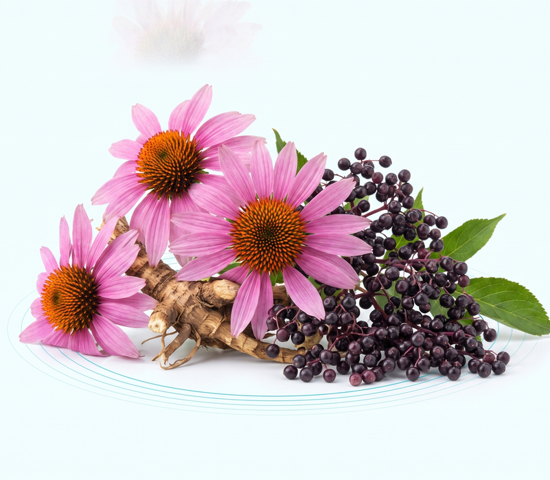 Echinacea + Elderberry